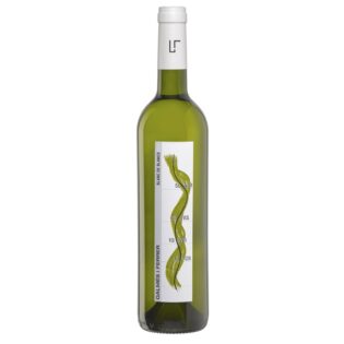 BLANC GALMÉS I FERRER 2024